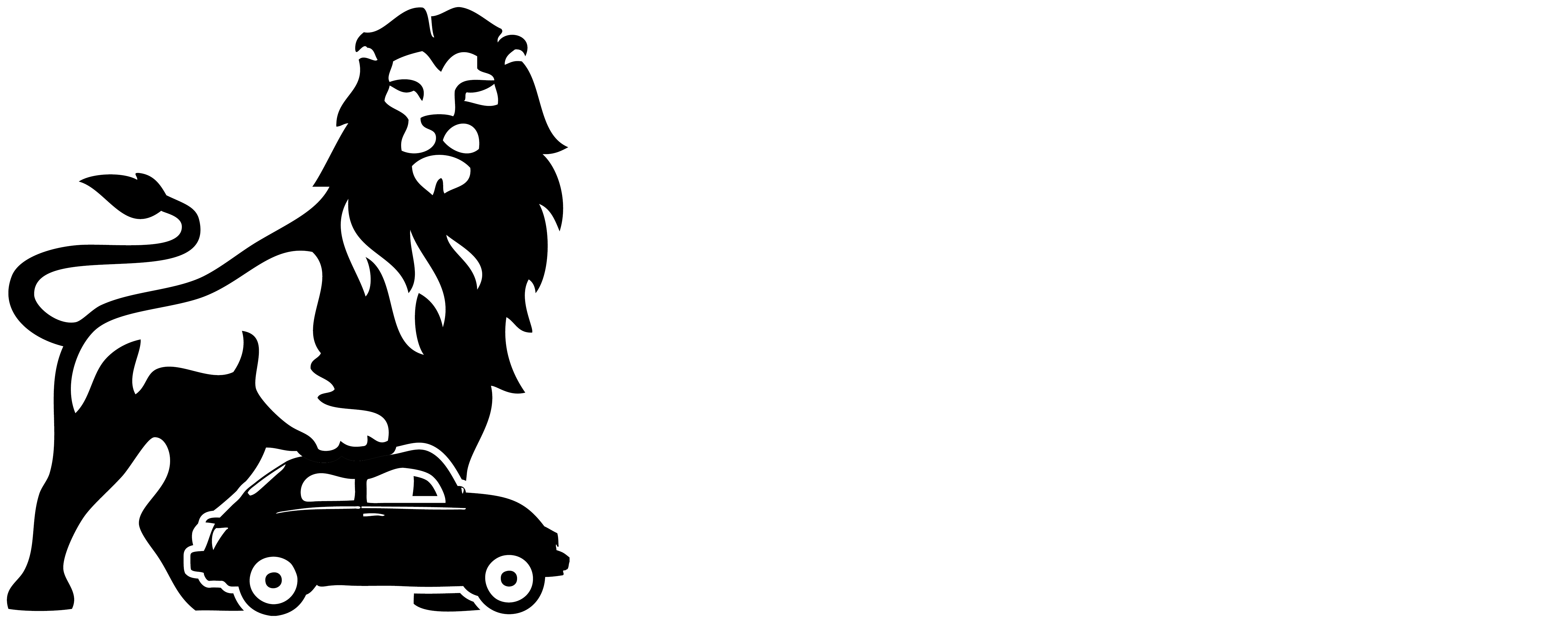 TROZZI AUTODEMOLIZIONI